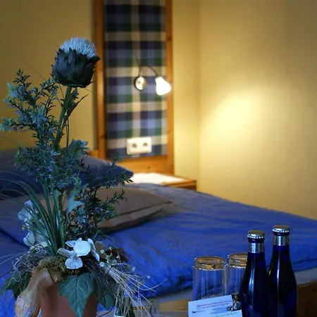 Hotel Wolffhotel 3*