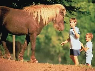 فندق Wolffhotel كوب