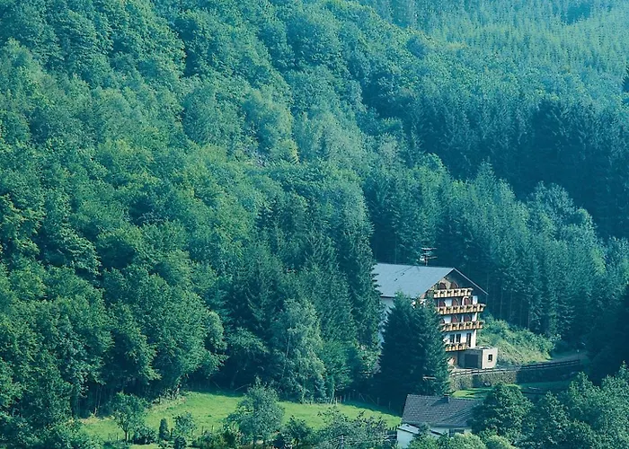 Ξενοδοχείο Wolffhotel 3*